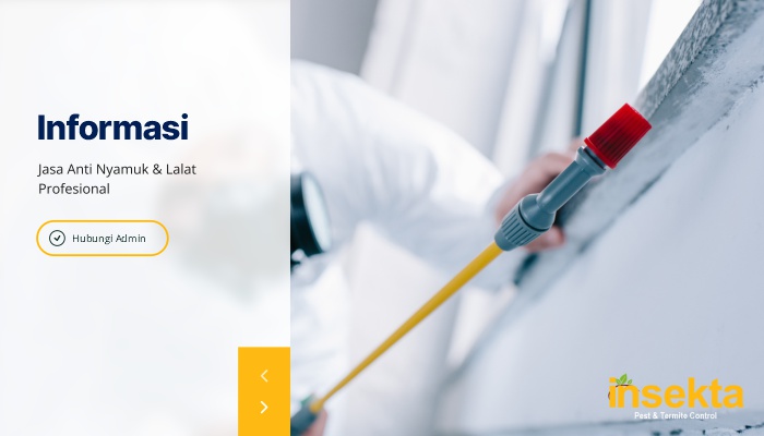 Jasa Anti Nyamuk & Lalat Profesional – Insekta Pest Control
