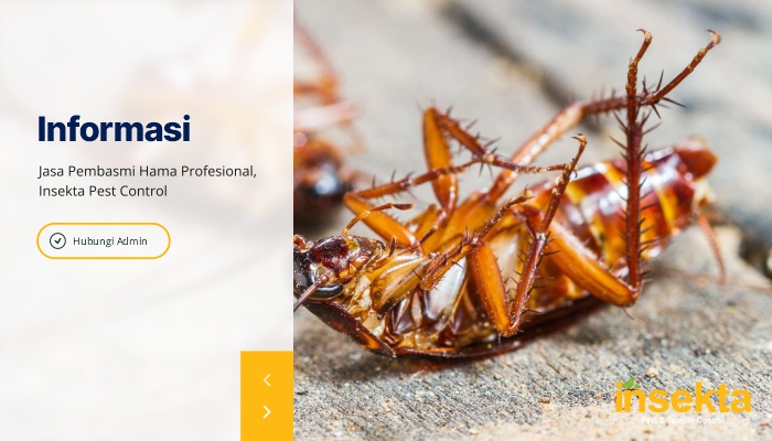Jasa Pembasmi Hama Profesional, Insekta Pest Control